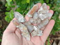 Natural Fairy Spirit Quartz Crystals x 70 From Boekenhouthoek, South Africa