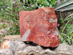 Natural Red Jasper Specimens x 2 From Northern Cape, South Africa - Toprock Gemstones and Minerals 