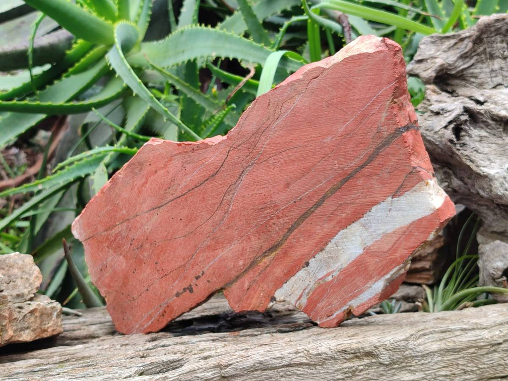 Natural Red Jasper Specimens x 2 From Northern Cape, South Africa - Toprock Gemstones and Minerals 