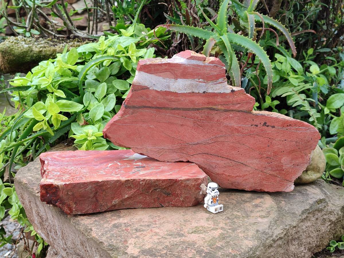 Natural Red Jasper Specimens x 2 From Northern Cape, South Africa - Toprock Gemstones and Minerals 