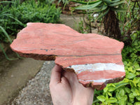 Natural Red Jasper Specimens x 2 From Northern Cape, South Africa