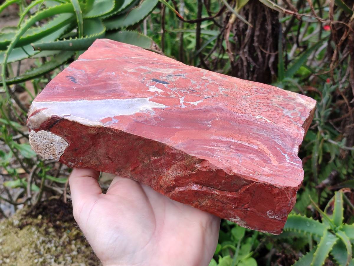 Natural Red Jasper Specimens x 2 From Northern Cape, South Africa - Toprock Gemstones and Minerals 