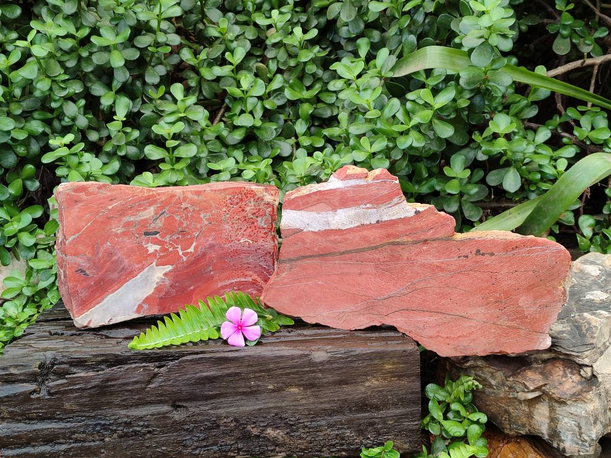 Natural Red Jasper Specimens x 2 From Northern Cape, South Africa - Toprock Gemstones and Minerals 