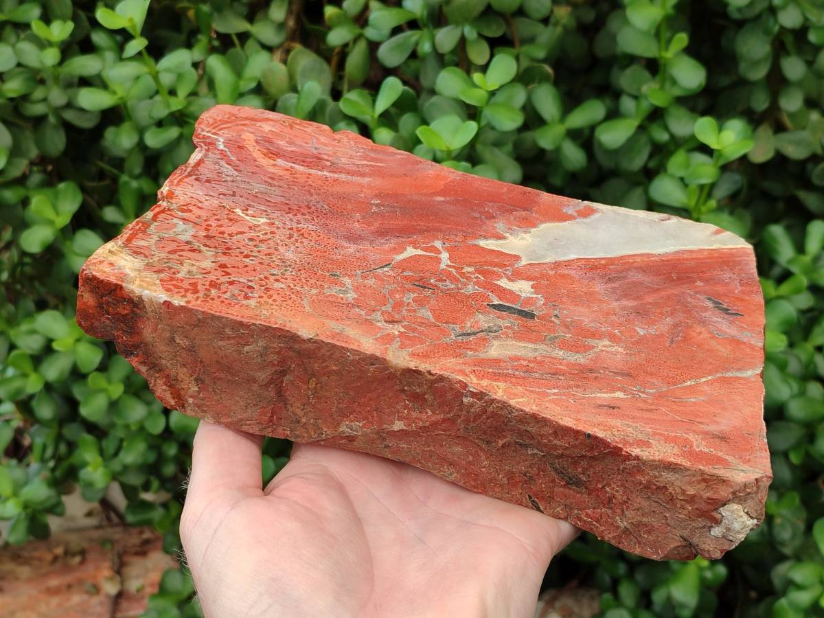 Natural Red Jasper Specimens x 2 From Northern Cape, South Africa - Toprock Gemstones and Minerals 