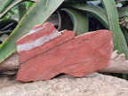 Natural Red Jasper Specimens x 2 From Northern Cape, South Africa - Toprock Gemstones and Minerals 