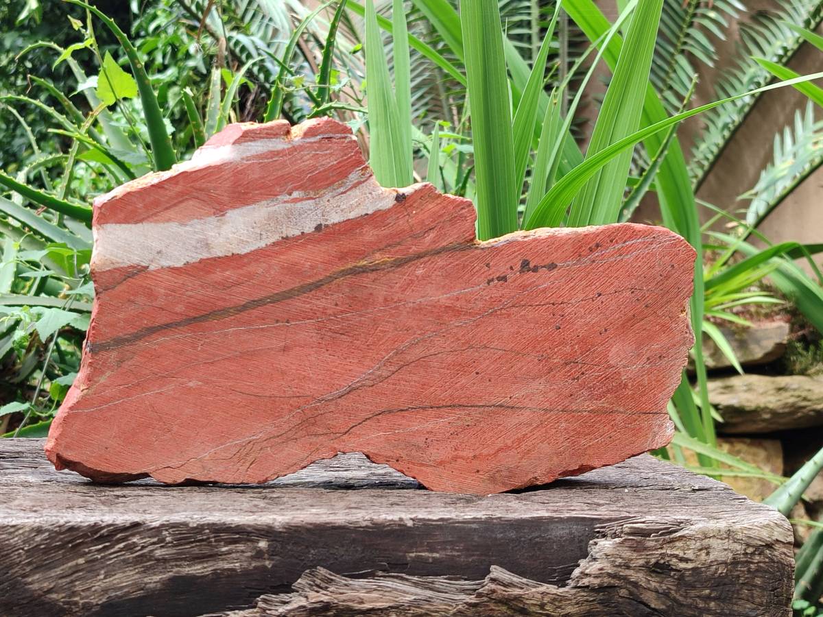 Natural Red Jasper Specimens x 2 From Northern Cape, South Africa - Toprock Gemstones and Minerals 