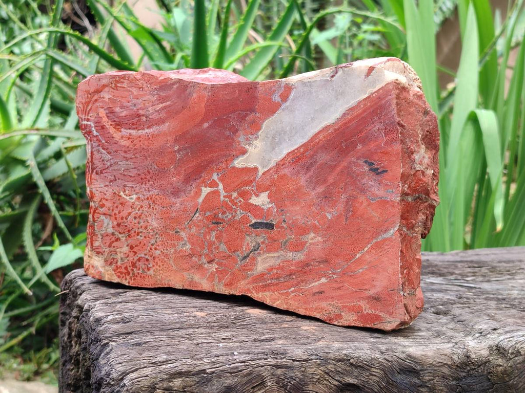 Natural Red Jasper Specimens x 2 From Northern Cape, South Africa - Toprock Gemstones and Minerals 