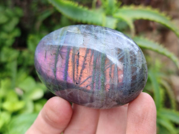 Polished Labradorite Palm Stones x 12 From Tulear, Madagascar