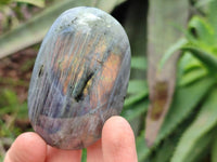 Polished Labradorite Palm Stones x 12 From Tulear, Madagascar