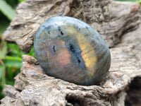 Polished Labradorite Palm Stones x 12 From Tulear, Madagascar