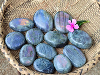 Polished Labradorite Palm Stones x 12 From Tulear, Madagascar