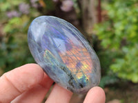 Polished Labradorite Palm Stones x 12 From Tulear, Madagascar