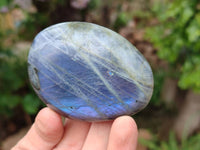 Polished Labradorite Palm Stones x 12 From Tulear, Madagascar