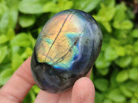 Polished Labradorite Palm Stones x 12 From Tulear, Madagascar