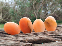 Polished Orange Twist Calcite Palm Stones x 20 From Maevantanana, Madagascar