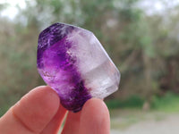 Polished Window Amethyst Quartz Points x 12 From Akansobe, Madagascar
