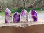 Polished Window Amethyst Quartz Points x 12 From Akansobe, Madagascar - Toprock Gemstones and Minerals 