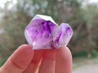Polished Window Amethyst Quartz Points x 12 From Akansobe, Madagascar