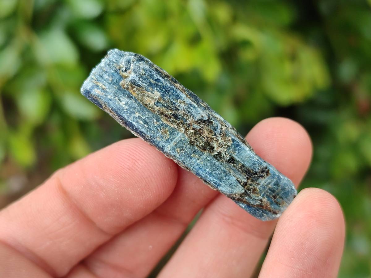 Natural Kyanite Crystals x 2 Kg Lot From Karoi, Zimbabwe - Toprock Gemstones and Minerals 