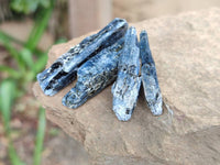 Natural Kyanite Crystals x 2 Kg Lot From Karoi, Zimbabwe