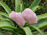 Natural Cobbed Rose Quartz Specimens x 3 Kg Lot From Northern Cape, South Africa