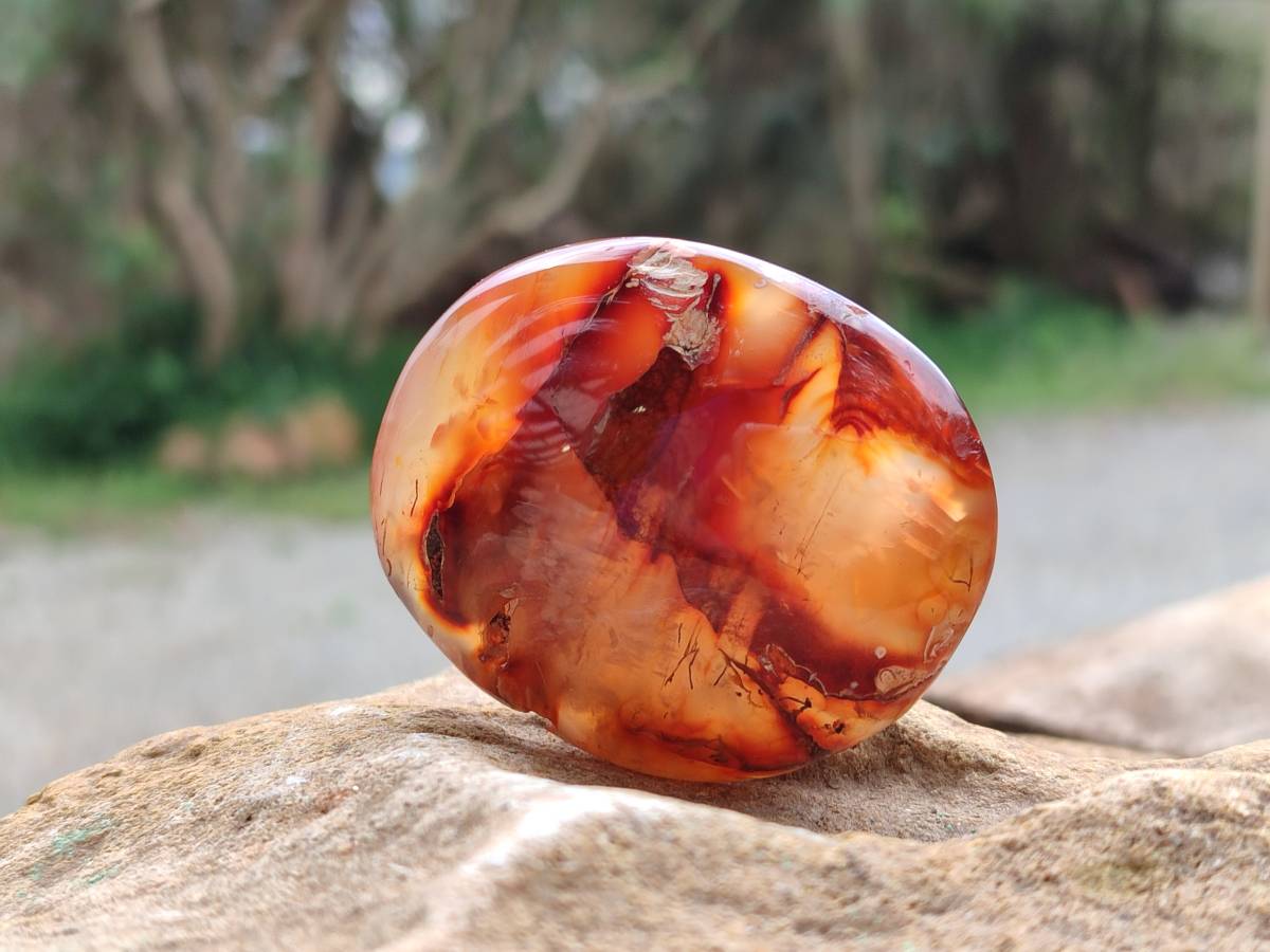 Polished Carnelian Agate Gemstone Galets x 24 From Madagascar - Toprock Gemstones and Minerals 