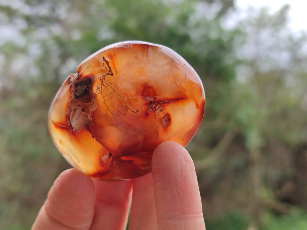 Polished Carnelian Agate Gemstone Galets x 24 From Madagascar - Toprock Gemstones and Minerals 