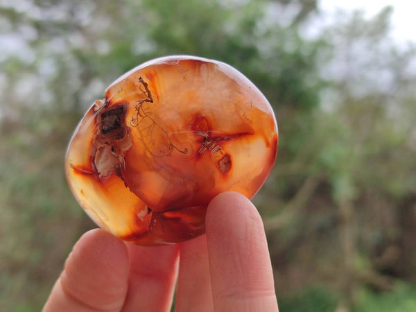Polished Carnelian Agate Gemstone Galets x 24 From Madagascar