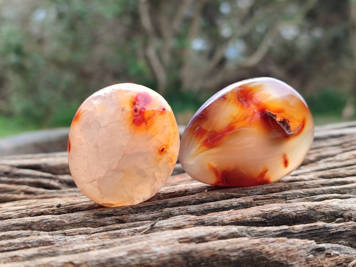 Polished Carnelian Agate Gemstone Galets x 24 From Madagascar - Toprock Gemstones and Minerals 