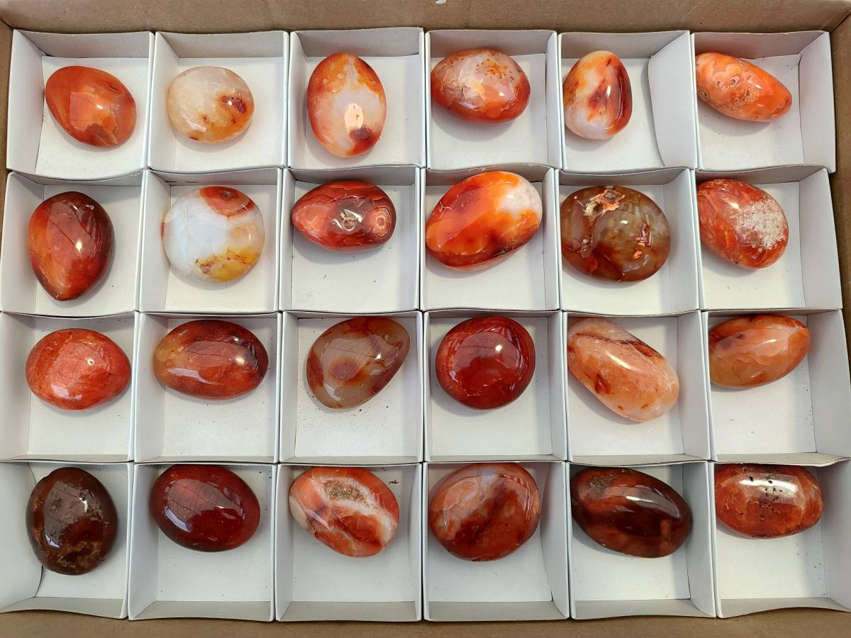Polished Carnelian Agate Gemstone Galets x 24 From Madagascar - Toprock Gemstones and Minerals 