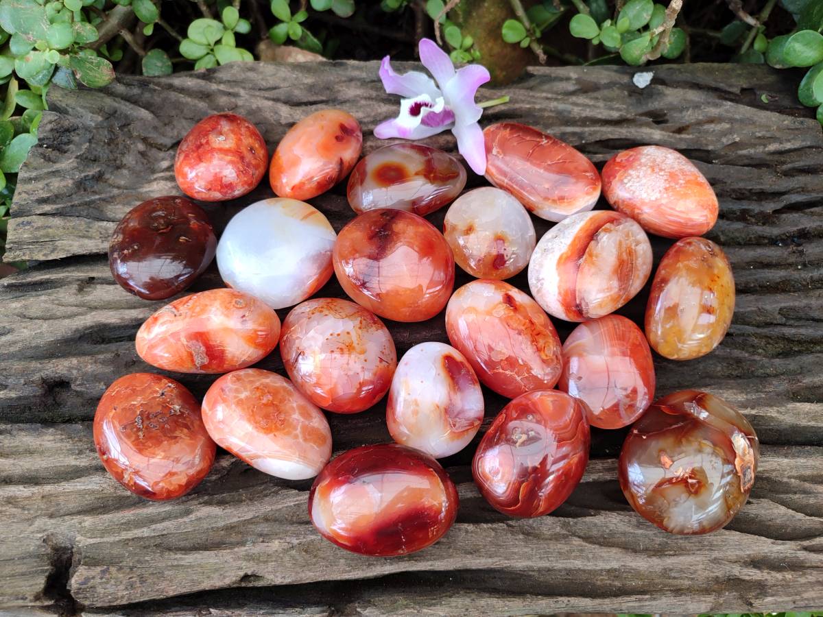 Polished Carnelian Agate Gemstone Galets x 24 From Madagascar - Toprock Gemstones and Minerals 