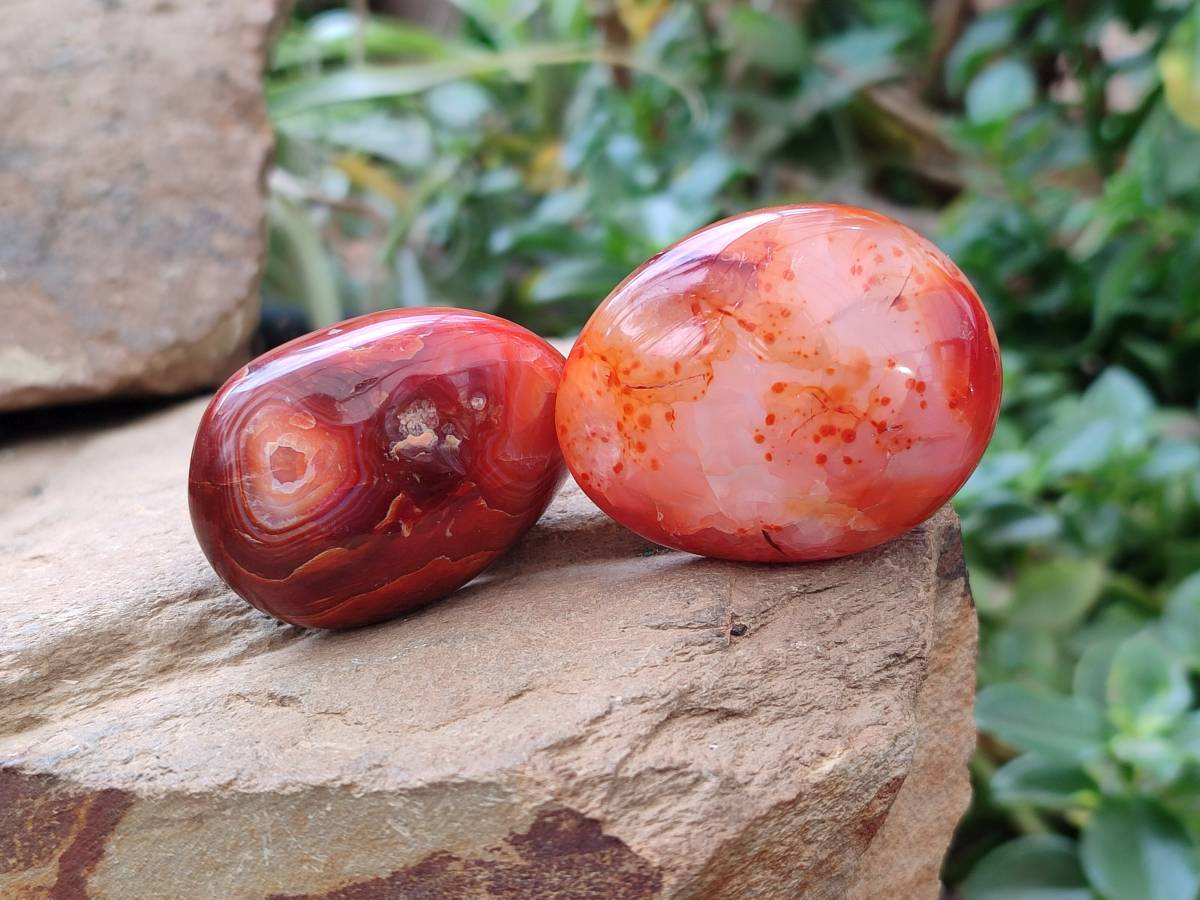 Polished Carnelian Agate Gemstone Galets x 24 From Madagascar - Toprock Gemstones and Minerals 