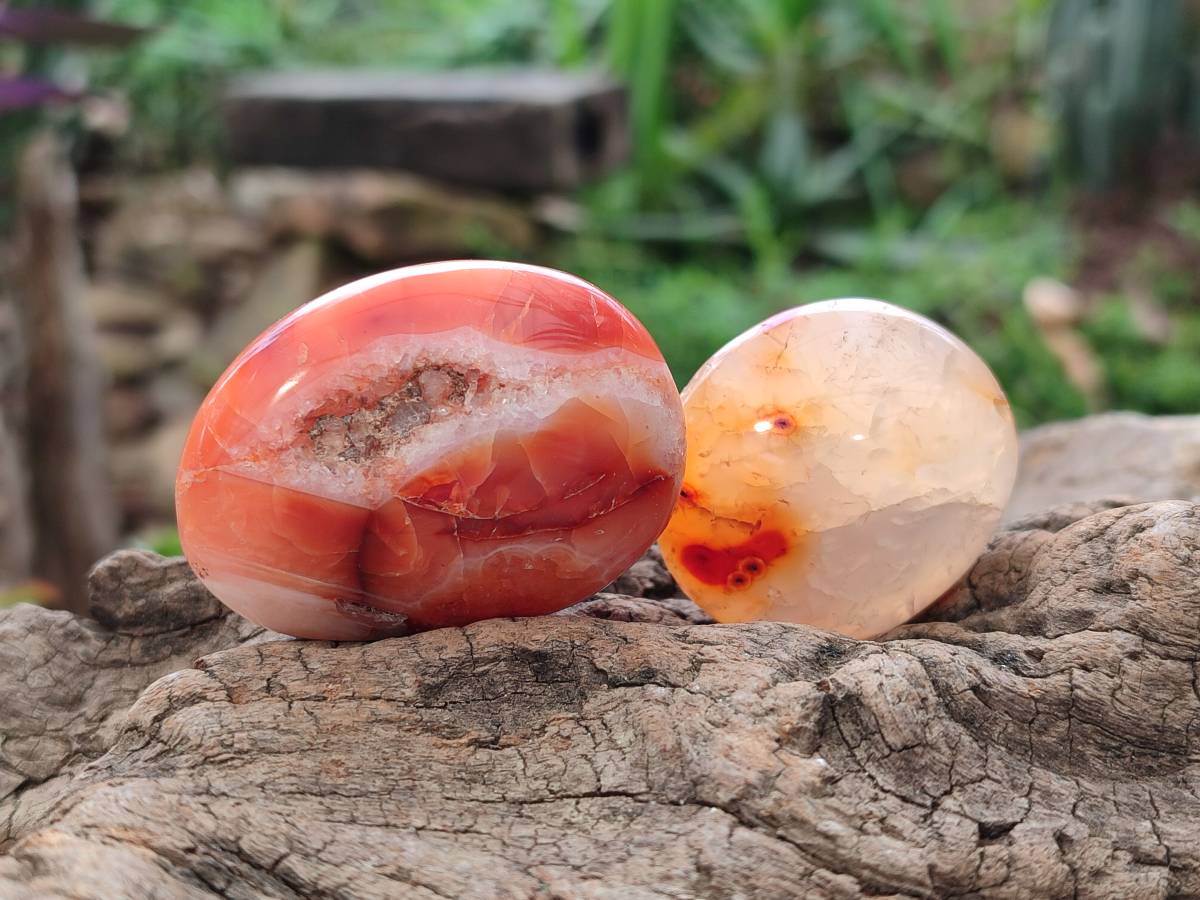 Polished Carnelian Agate Gemstone Galets x 24 From Madagascar - Toprock Gemstones and Minerals 