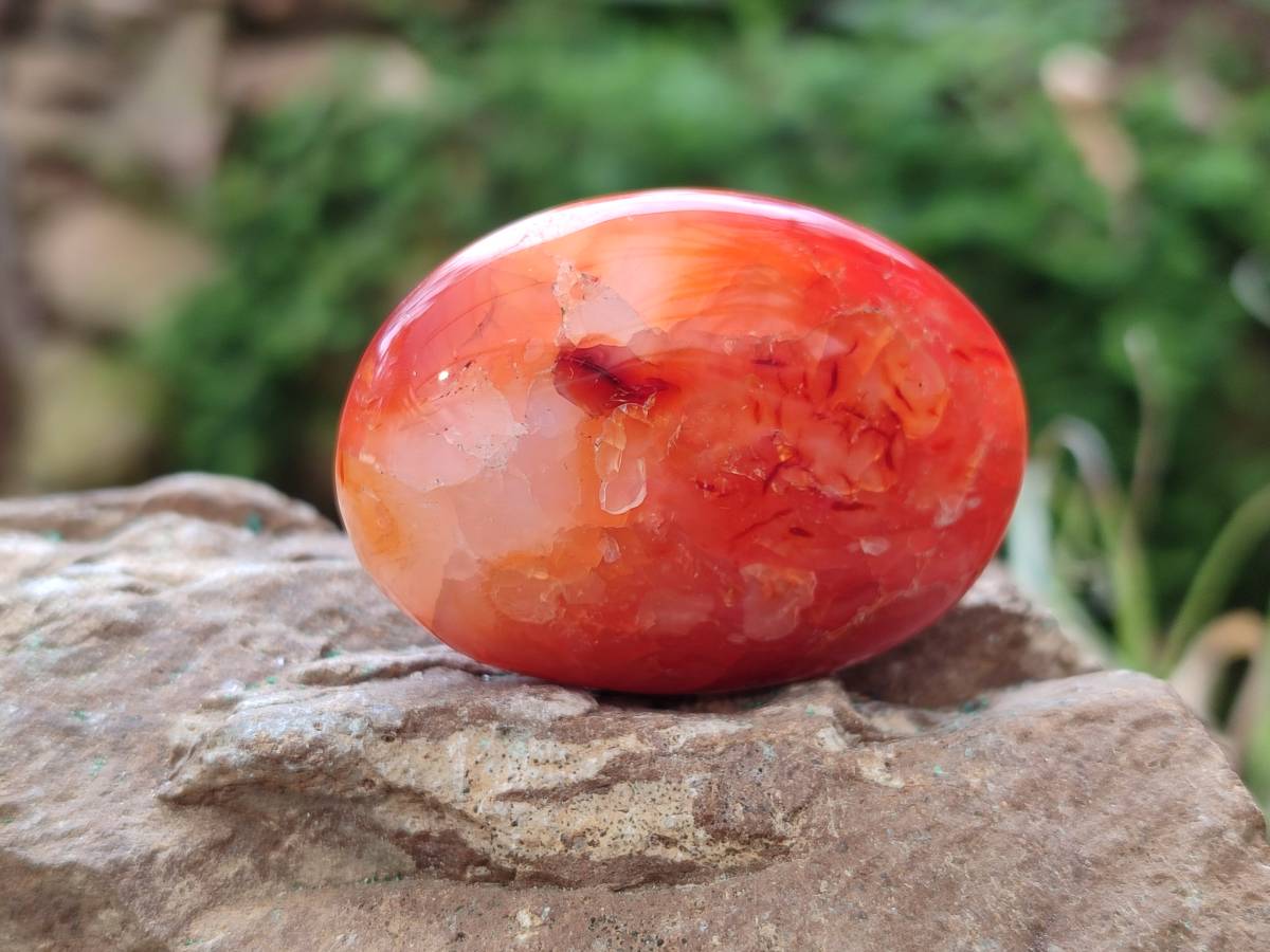 Polished Carnelian Agate Gemstone Galets x 24 From Madagascar - Toprock Gemstones and Minerals 