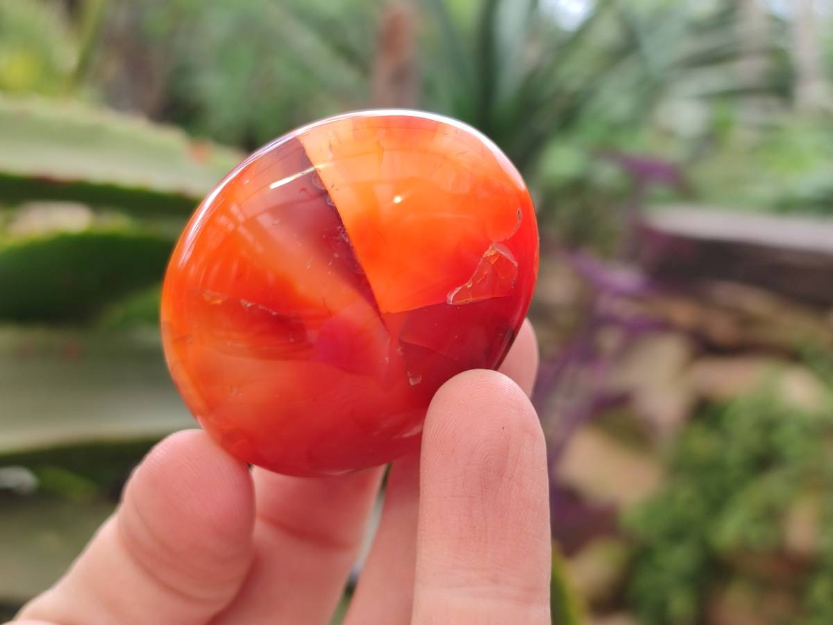 Polished Carnelian Agate Gemstone Galets x 24 From Madagascar - Toprock Gemstones and Minerals 