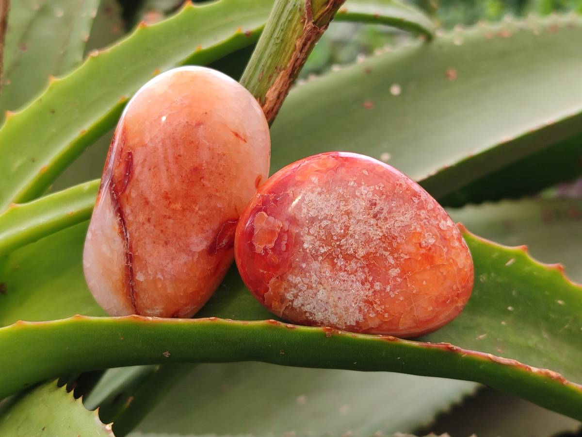 Polished Carnelian Agate Gemstone Galets x 24 From Madagascar - Toprock Gemstones and Minerals 