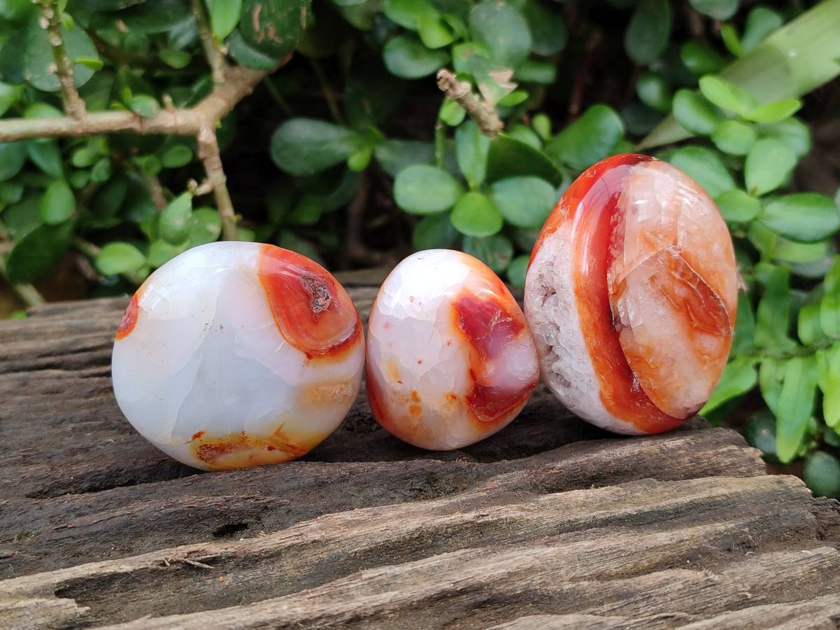 Polished Carnelian Agate Gemstone Galets x 24 From Madagascar - Toprock Gemstones and Minerals 