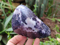 Polished Lepidolite Free Forms x 4 From Zimbabwe