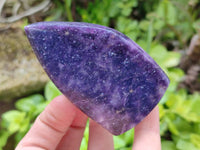 Polished Lepidolite Free Forms x 4 From Zimbabwe