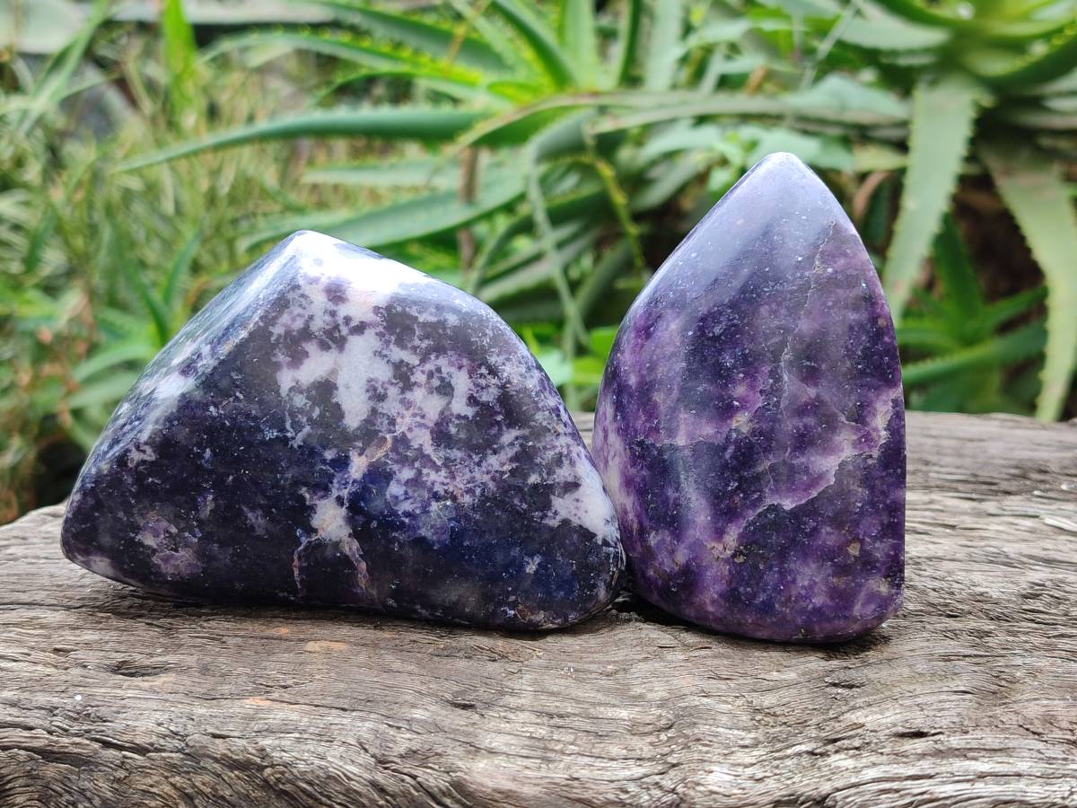 Polished Lepidolite Free Forms x 4 From Zimbabwe - Toprock Gemstones and Minerals 