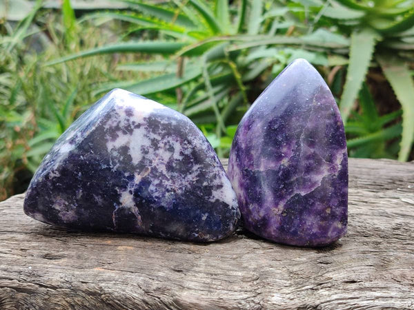 Polished Lepidolite Free Forms x 4 From Zimbabwe