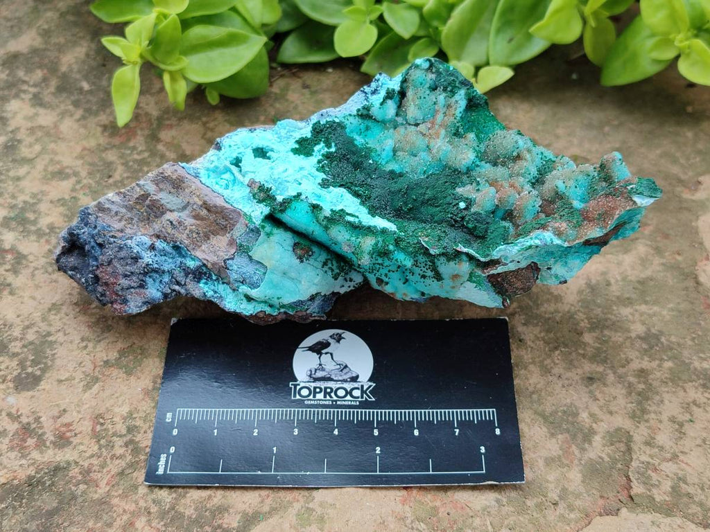 Natural Drusy Coated Chrysocolla Specimens x 6 From Lupoto Mine, Congo - Toprock Gemstones and Minerals 