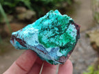 Natural Drusy Coated Chrysocolla Specimens x 6 From Lupoto Mine, Congo - Toprock Gemstones and Minerals 