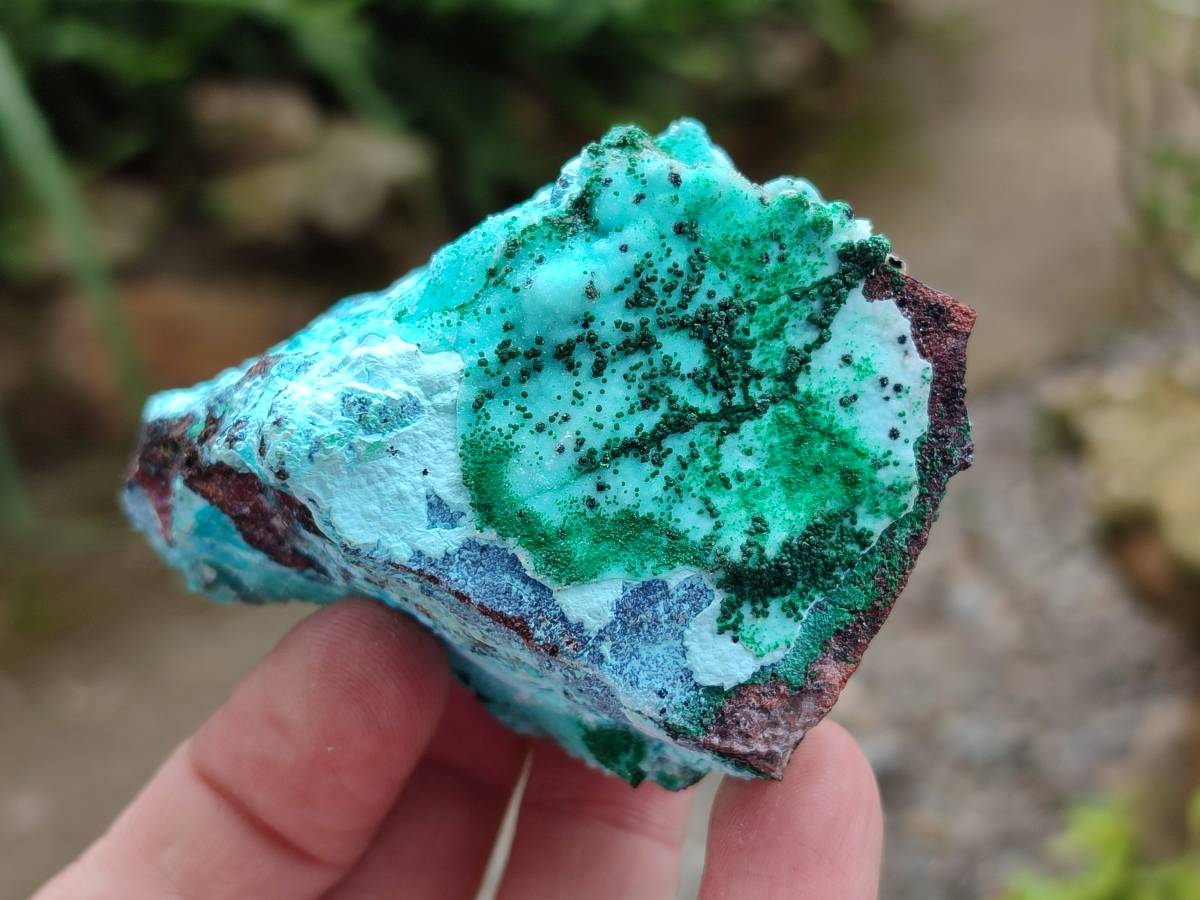 Natural Drusy Coated Chrysocolla Specimens x 6 From Lupoto Mine, Congo - Toprock Gemstones and Minerals 