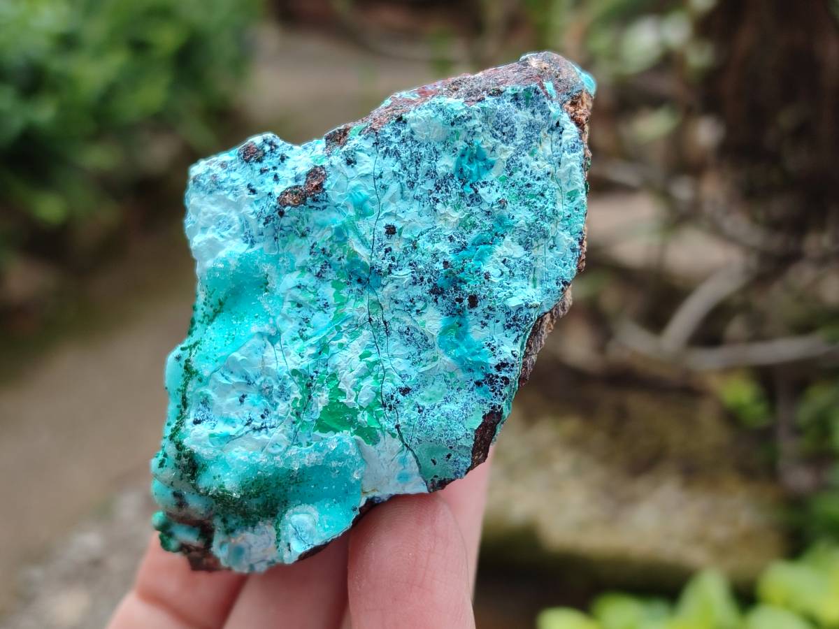Natural Drusy Coated Chrysocolla Specimens x 6 From Lupoto Mine, Congo - Toprock Gemstones and Minerals 