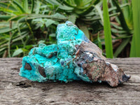 Natural Drusy Coated Chrysocolla Specimens x 6 From Lupoto Mine, Congo