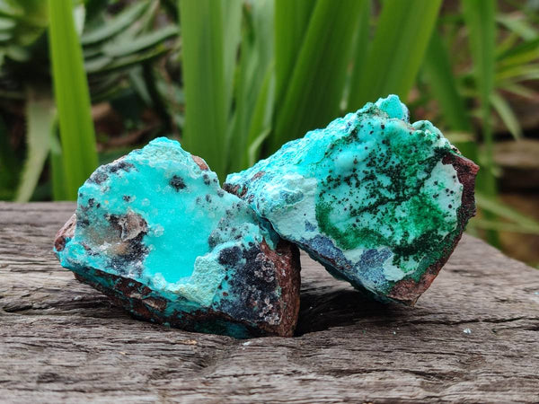Natural Drusy Coated Chrysocolla Specimens x 6 From Lupoto Mine, Congo