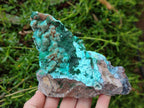 Natural Drusy Coated Chrysocolla Specimens x 6 From Lupoto Mine, Congo - Toprock Gemstones and Minerals 