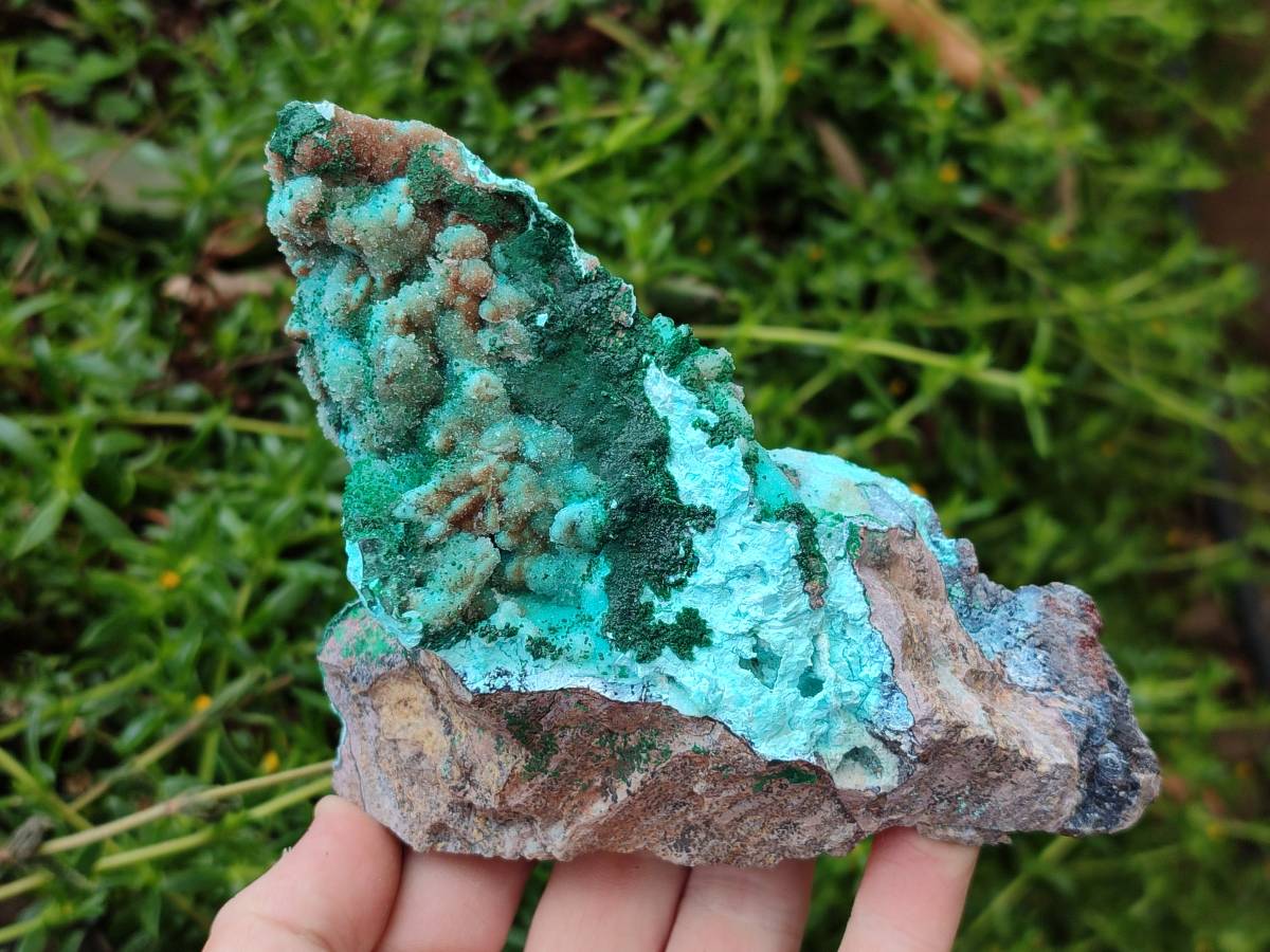 Natural Drusy Coated Chrysocolla Specimens x 6 From Lupoto Mine, Congo - Toprock Gemstones and Minerals 