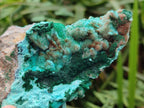 Natural Drusy Coated Chrysocolla Specimens x 6 From Lupoto Mine, Congo - Toprock Gemstones and Minerals 